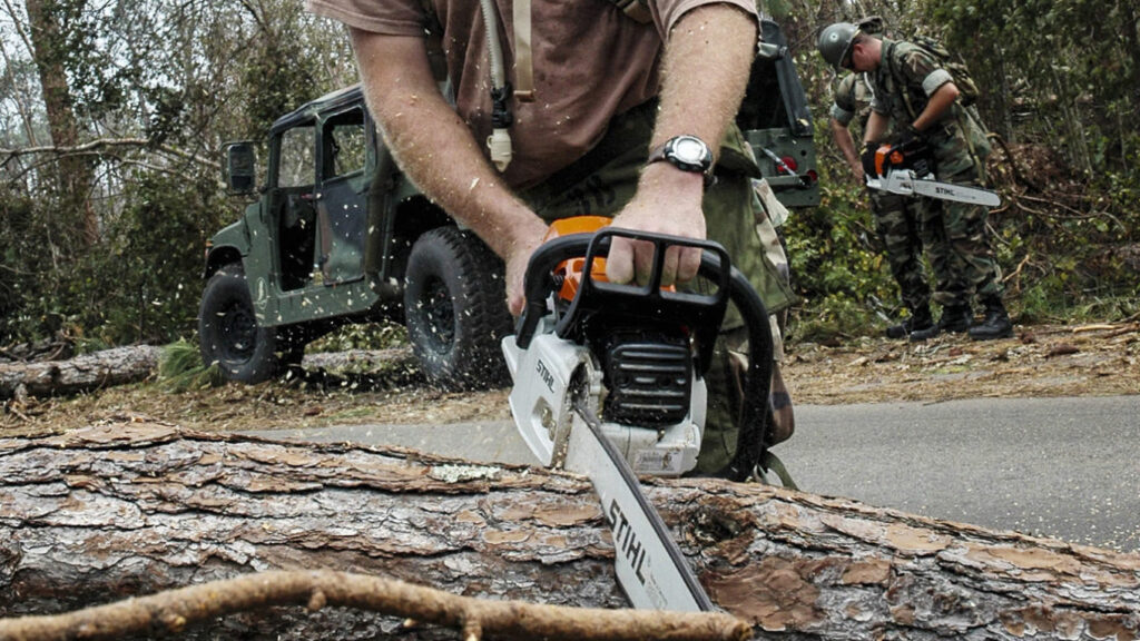 How to Choose the Right Chainsaw? for 2022 - TheMostSpruce